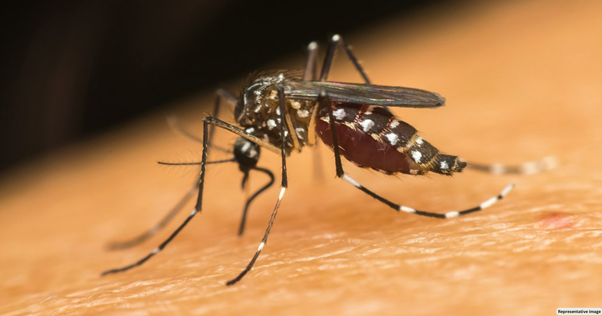 Bihar: Dengue cases rise in Patna, health dept set up separate wards for patients